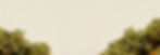 honolulu-banner-2.jpg