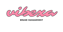 Vibexa Logo.png