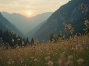 Enflasyonun Ürün Fiyatları Üzerindeki Görünmeyen Etkileri ve Ekonomik Sonuçları