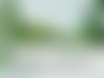 6 plantes pour lutter contre l'humidité dans ta maison