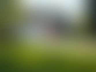 Quick Cash House Sale: How to Sell Your House Fast for Cash