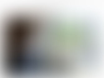 Thank you, New York Times!