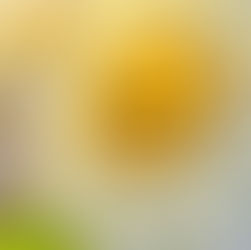 Trecut – prezent – viitor în starea de sanatate