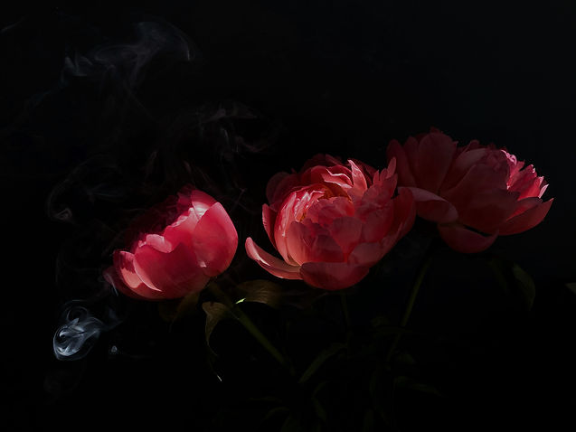 Dramatic Flowers_edited.jpg