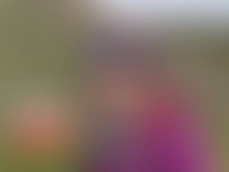 POŠLI OBLÍBENCE DO HIMÁLAJE - PŘEHLED BENEFIČNÍCH CEST 2025