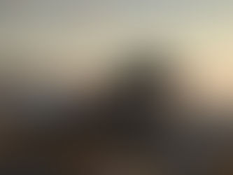 This Week in the Auto Industry Jan. 12-16