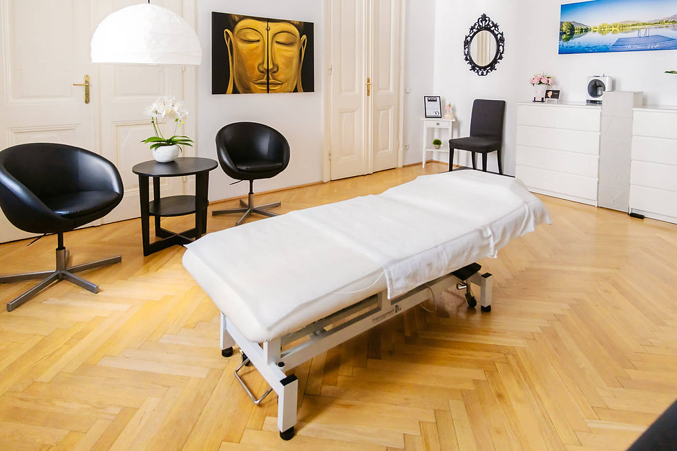 Beauty Brows | Permanent Make-up Augenbrauen mit Microblading in 1060 Wien