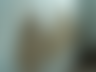 Understanding Fall Mold Growth in Houston and How to Tackle It