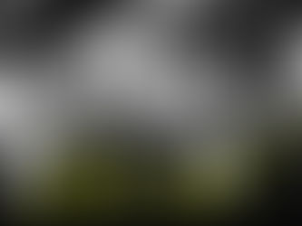 Pickleball Paddle Manufacturing USA: Crafting Quality Gear for America’s Fastest-Growing Sport