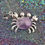 Thumbnail: {energized} Crab Amethyst Pendant