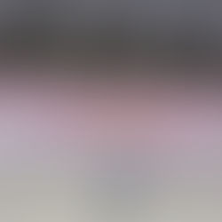 ドックショーとインターペット。