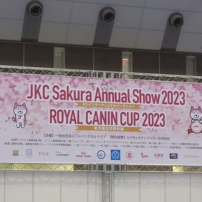 ドックショーとインターペット。