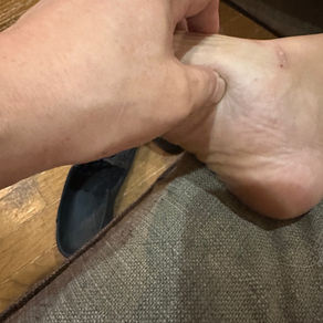 黒ラブ、メス、オーナー様募集中です。