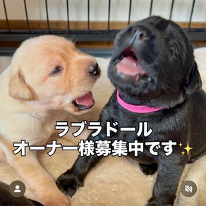 目が開いてきたよ。