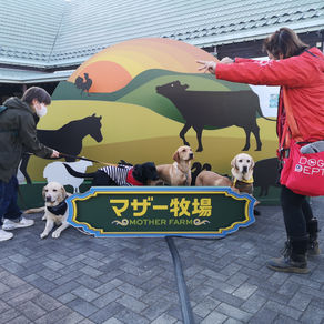 マザー牧場に行ってきたよ。