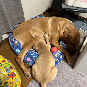 もうすぐ卒業。