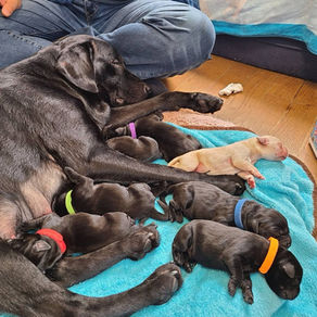 出産予定、ご予約お待ちしてます。