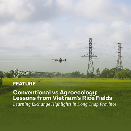 Conventional vs Agroecology Practices: Lessons from Vietnam’s Rice Fields