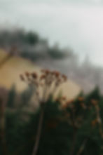 (2026) Facilitation - Intégration et mentorat