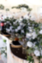 © 2024 Myan Events. All rights reserved.