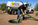 Signs Your Septic Tank Needs Pumping in Arizona