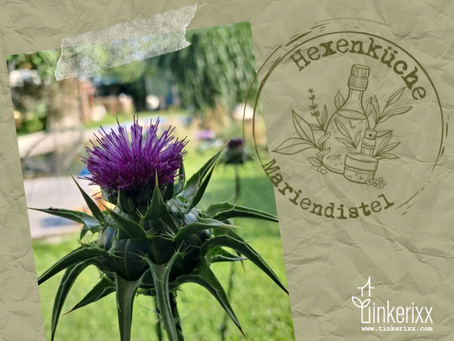 Mariendistel