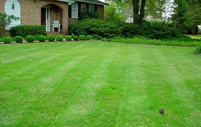 lawn-mow-1024x768.jpg
