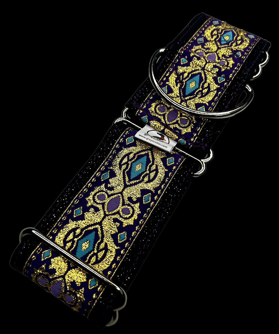 Thumbnail: Purple and gold collar