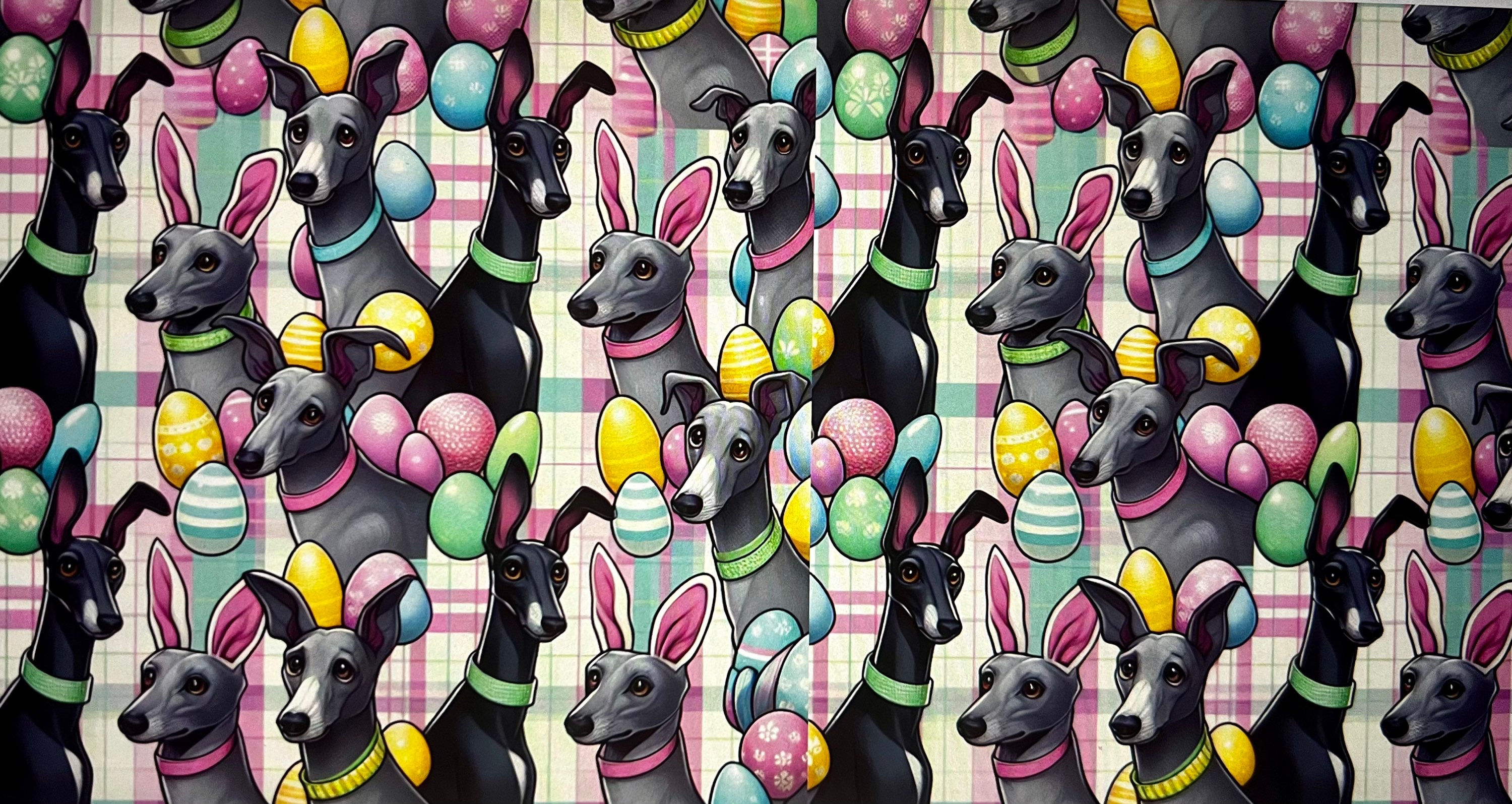 Plaid Easter greyhounds