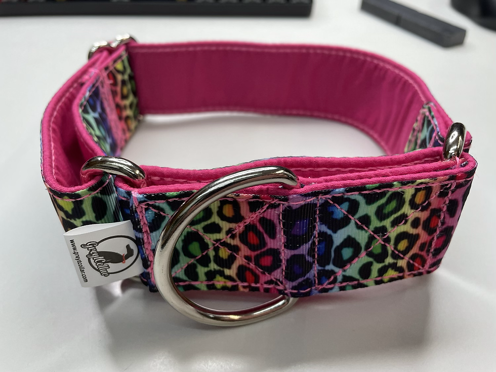 Thumbnail: Rainbow leopard print collar