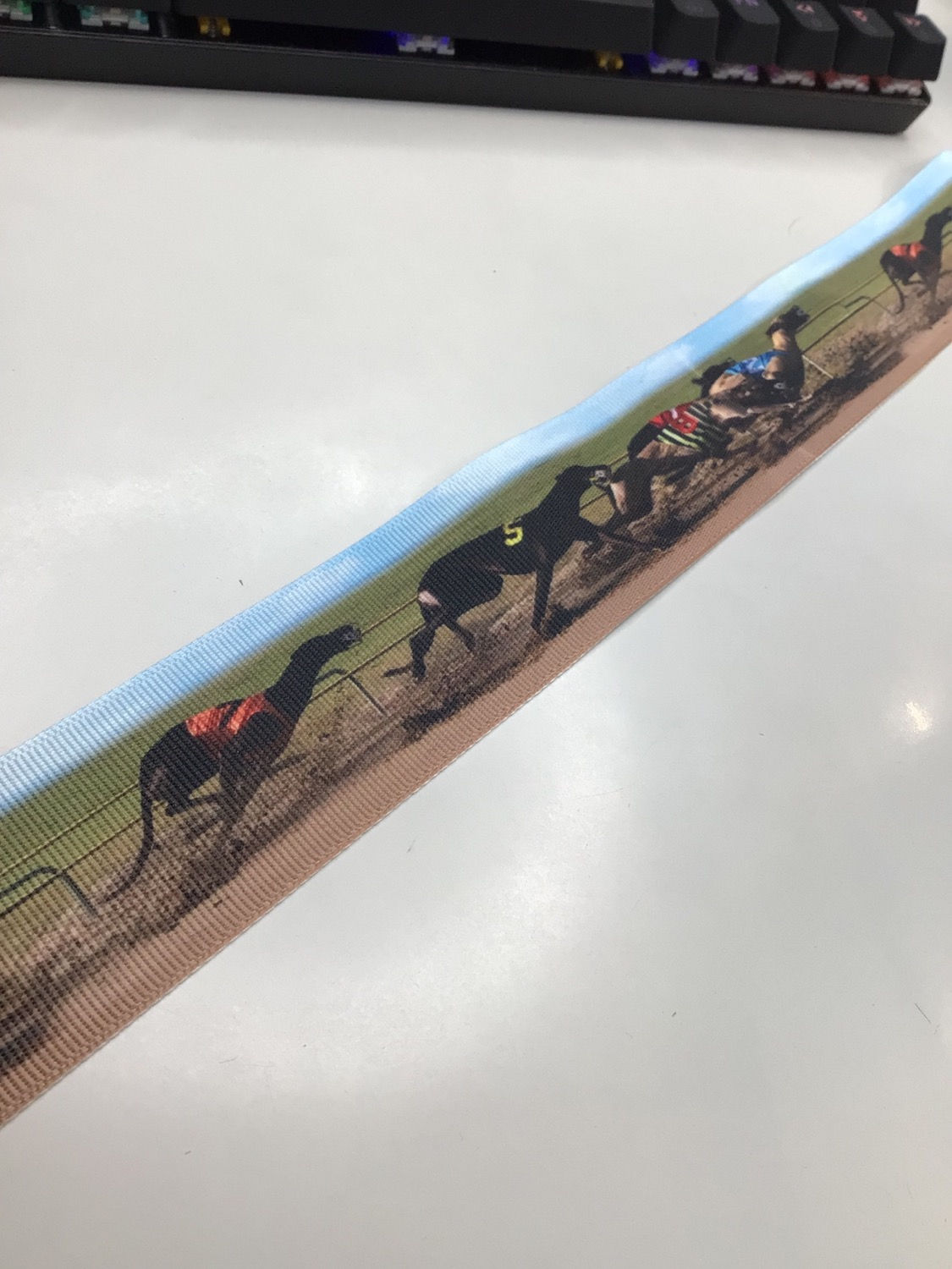 Photo racing lanyard