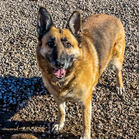 Zoey