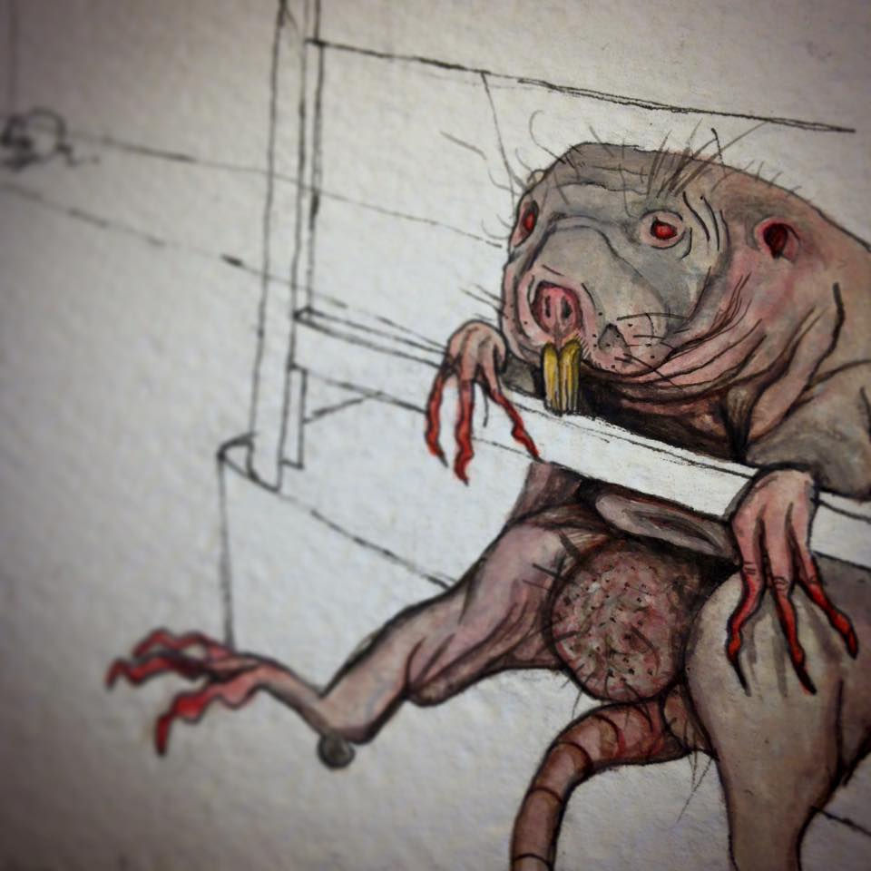 Rat de goutière