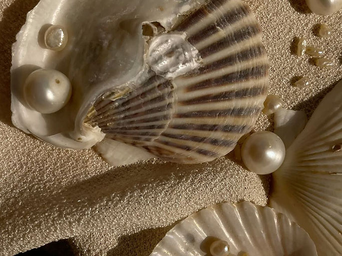 _ - 2025-11-08T153455_edited.jpg