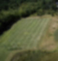 Burlington High School Natural Grass Field