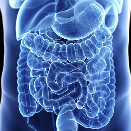 Mitos sobre a Saúde intestinal