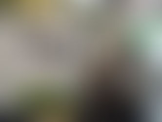 FIGUS Fig leaf drink-Thaifex 2018