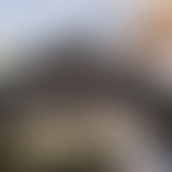 Garden Suites are Now Permitted in Toronto!