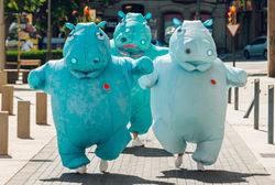 hippos_04