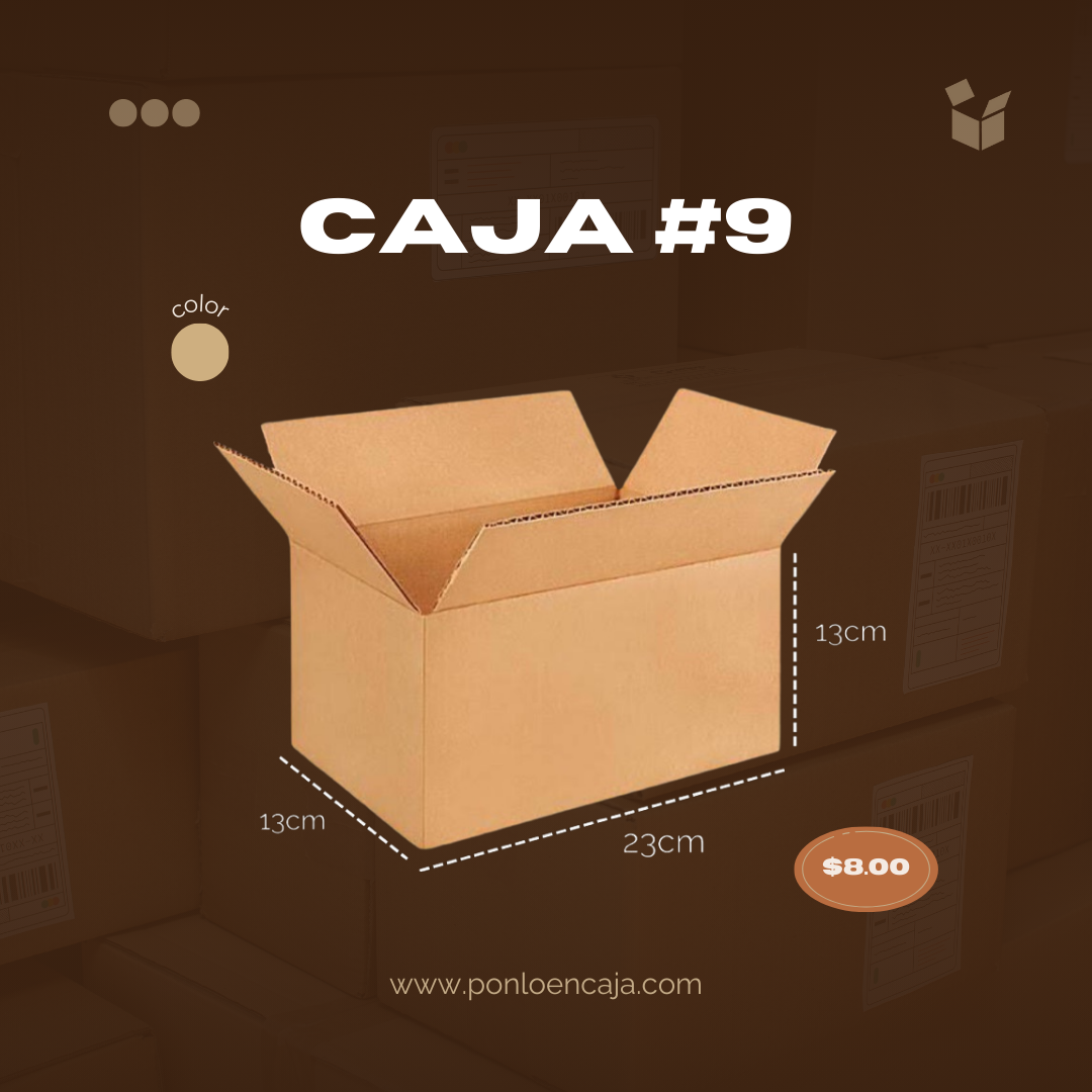 Paquetería 23x13x13