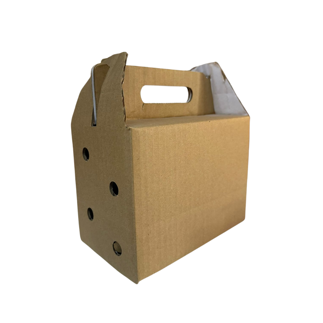 Lonchera conejo, hamster