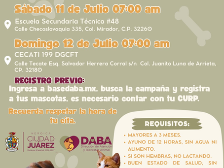 Continúa DABA acercando las esterilizaciones gratuitas.