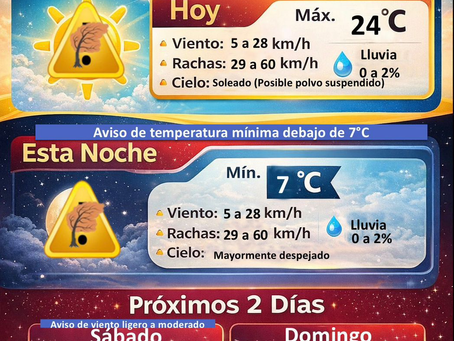 Alerta por viento con rachas de hasta 60 km/h para este viernes.