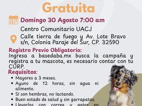 Llevará DABA esterilizaciones gratuitas a Parajes del Sur este domingo