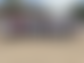 Avanza Xóchitl Gálvez en las encuestas: Rogelio Loya Luna.