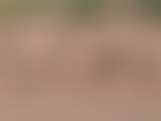 Nominan a Chihuahua en seis categorías de los premios “Lo Mejor de México 2026”.