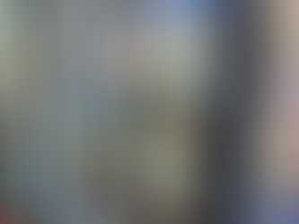 Clausura Gobernación Estatal 12 establecimientos.