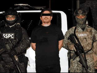 Harfuch reporta la detención de "El Peli", operador de Los Chapitos, en Mazatlán, Sinaloa.