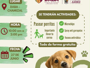Invita DABA mañana sábado al evento Ruta de Croquetas.