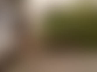 Protección Civil atiende incidentes causados por fuertes vientos.